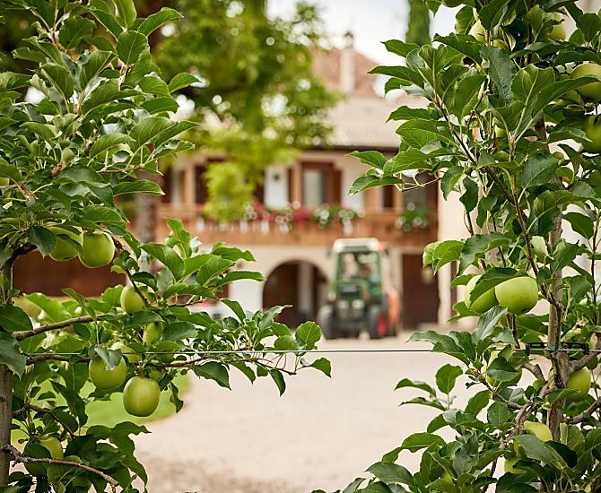 Linserhof - gallery Photo
