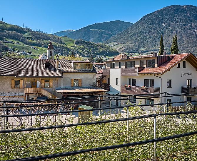 Linserhof - gallery Photo