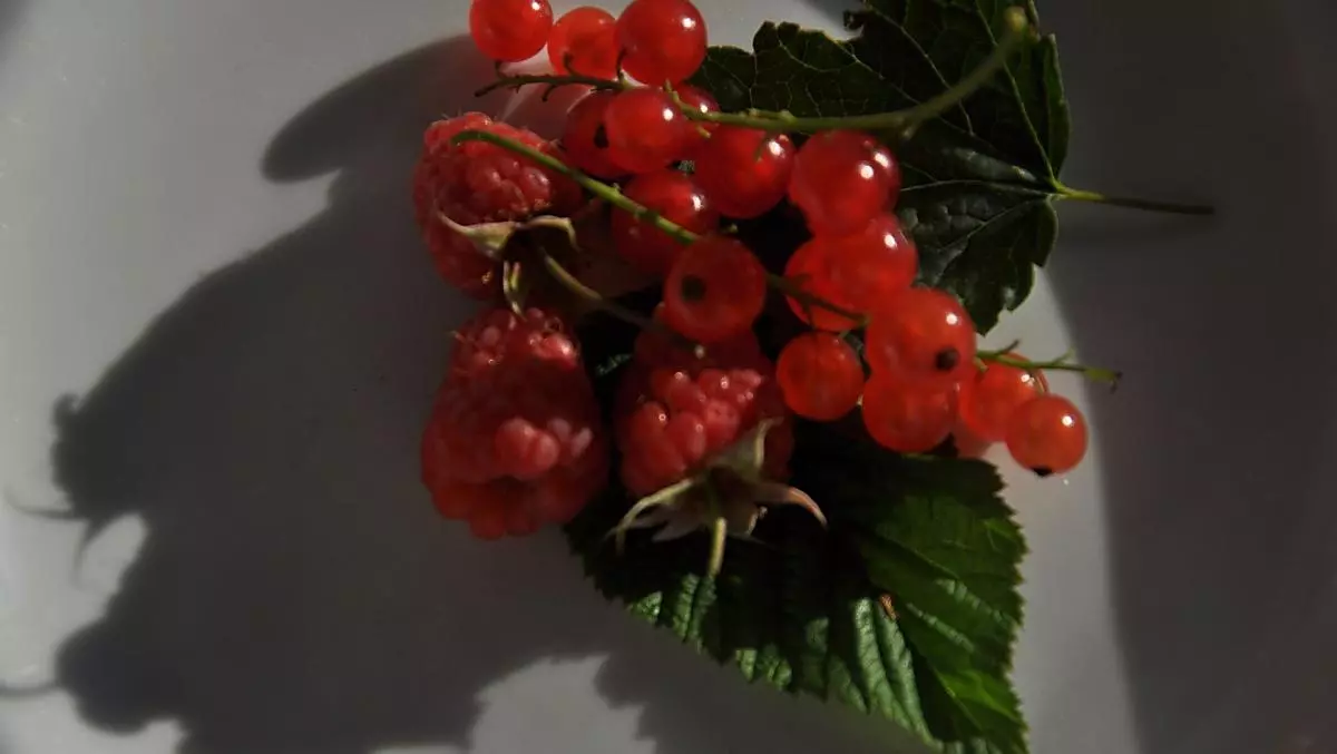 Lamponi e ribes per una deliziosa spalmatura di frutta