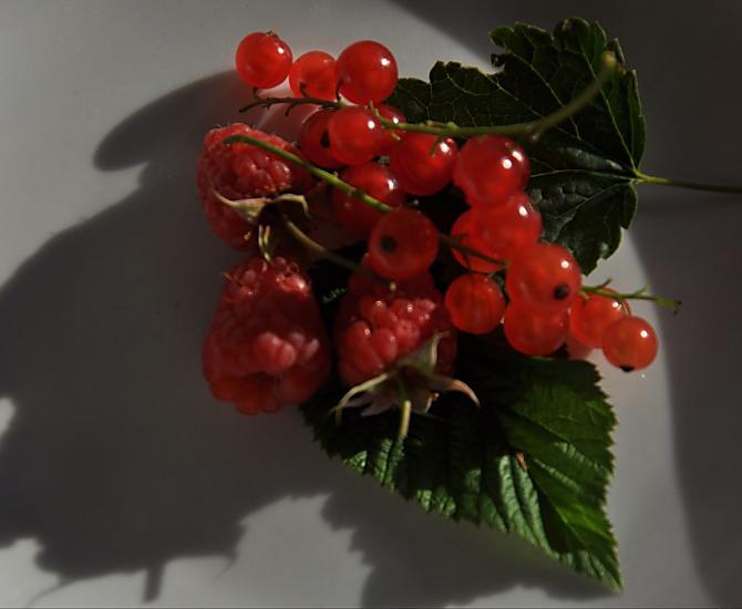 Lamponi e ribes per una deliziosa spalmatura di frutta