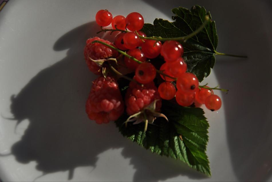 Lamponi e ribes per una deliziosa spalmatura di frutta