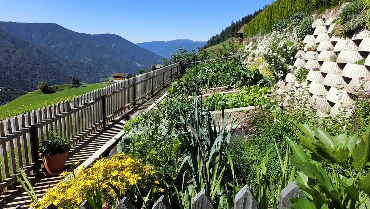 L'orto e il giardino delle nostre erbe aromatiche