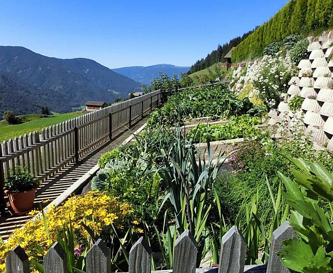 L'orto e il giardino delle nostre erbe aromatiche