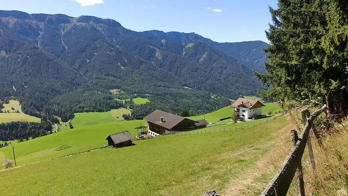 Vista del maso dal margine del bosco verso sud