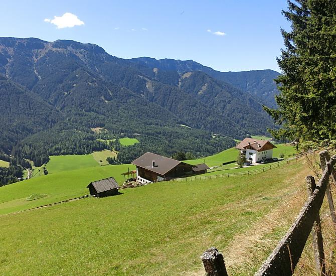 Vista del maso dal margine del bosco verso sud