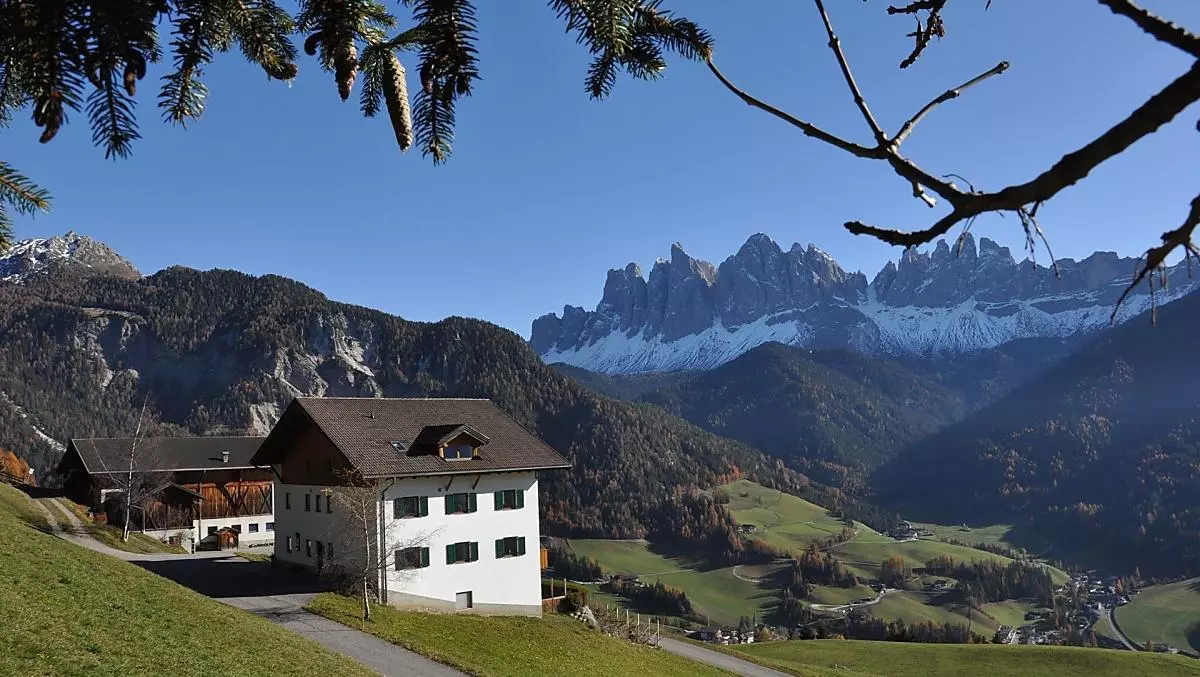 L'autunno sta arrivando, gli alberi stanno cambiando colore.