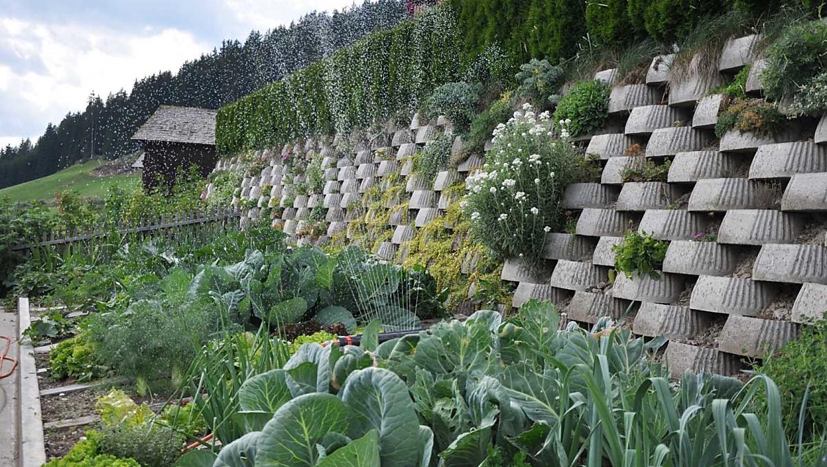 Verdure fresche di stagione ogni giorno