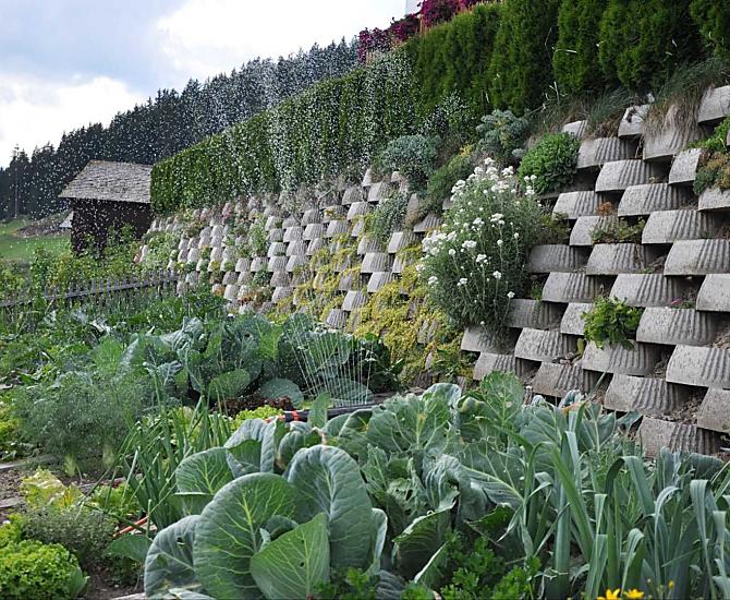 Verdure fresche di stagione ogni giorno