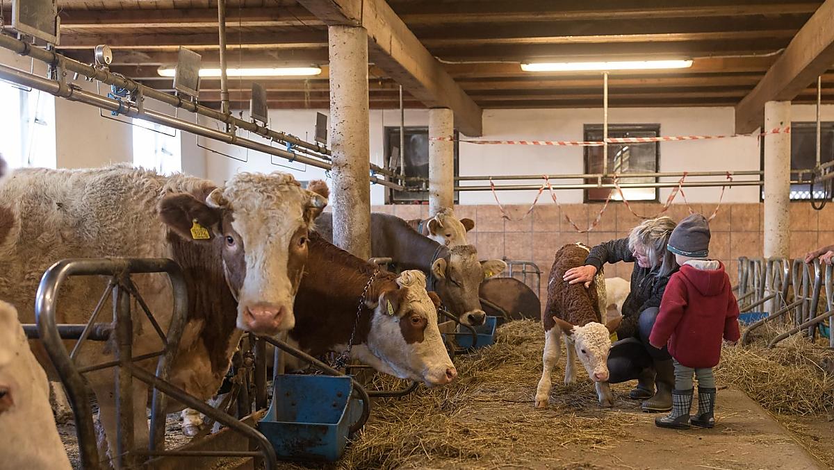 Sperimentare un lavoro stabile: un'esperienza indimenticabile per grandi e piccini.