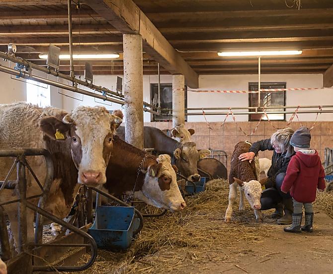 Sperimentare un lavoro stabile: un'esperienza indimenticabile per grandi e piccini.