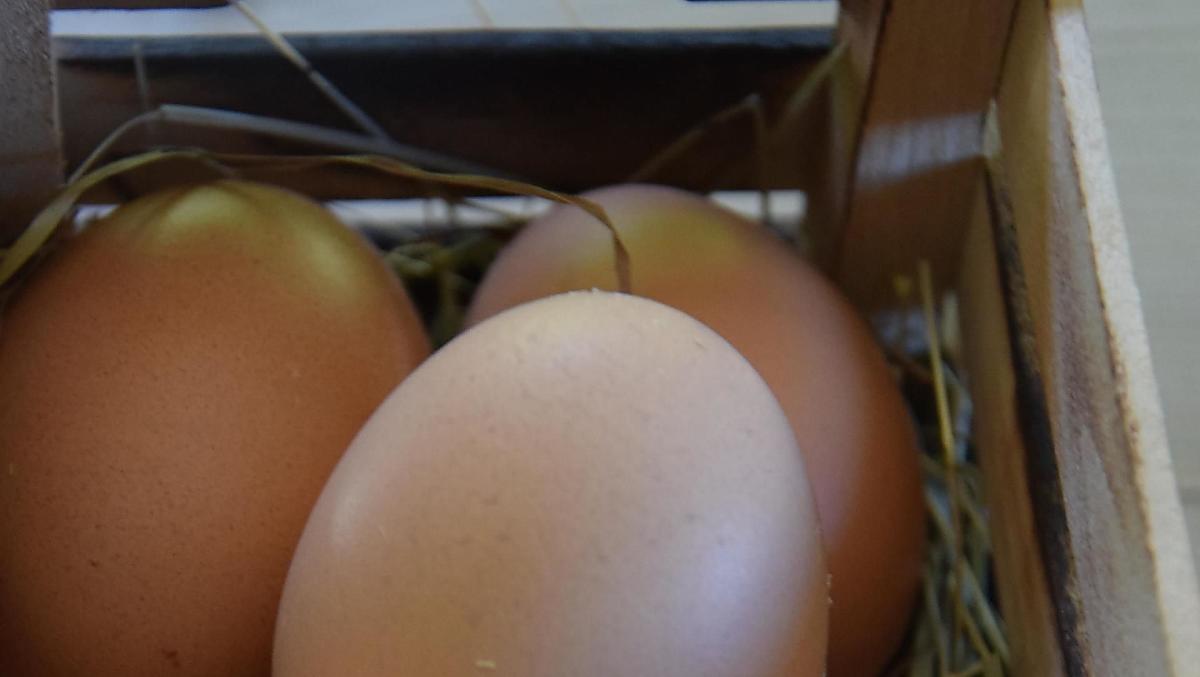 Le uova delle nostre galline felici