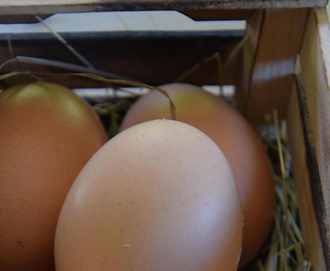 Le uova delle nostre galline felici