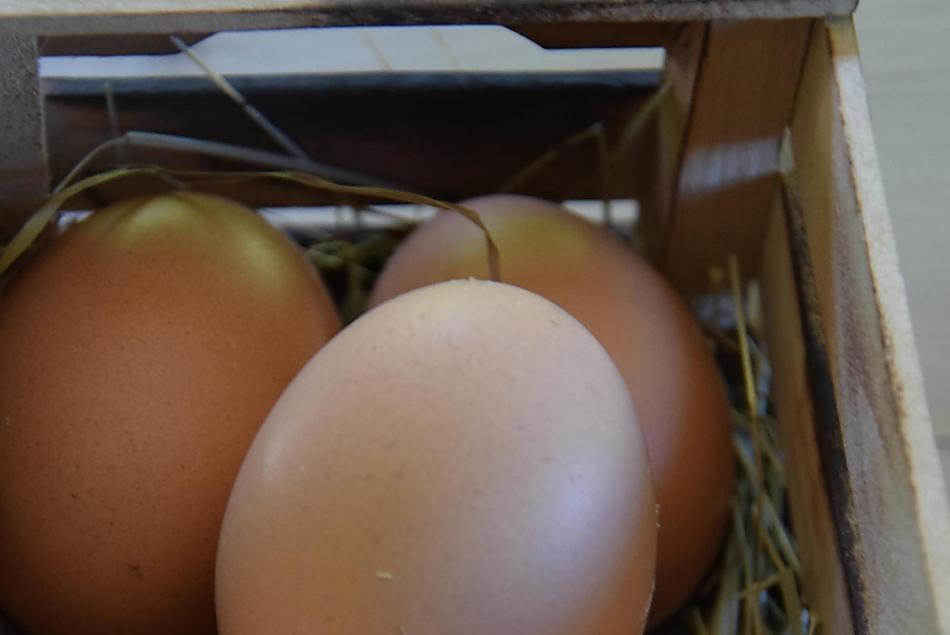 Le uova delle nostre galline felici