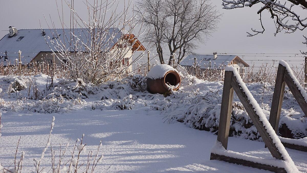 Idillio invernale in riva al laghetto