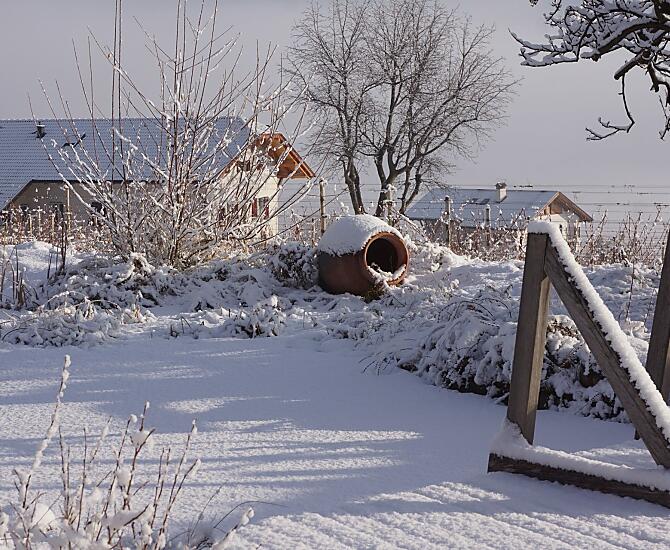 Idillio invernale in riva al laghetto