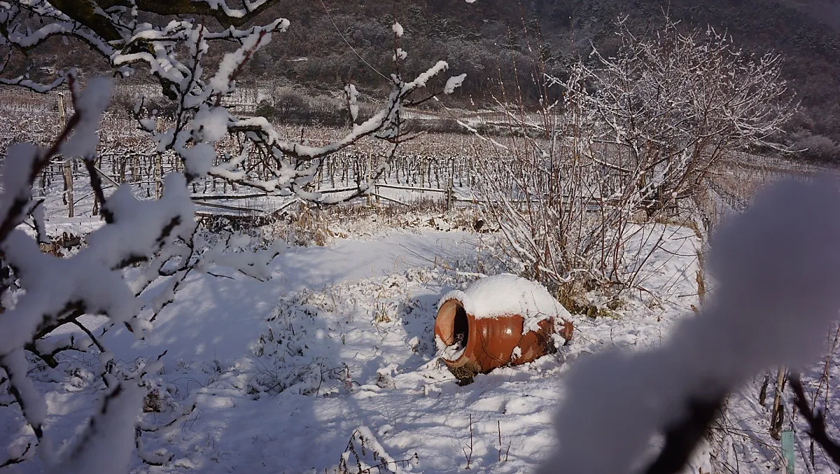 Lo stagno balneabile coperto di neve