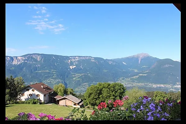 Kastnerhof - Zimmer & Wohnungen Photo
