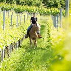 Feltonhof - Gastgeber Photo