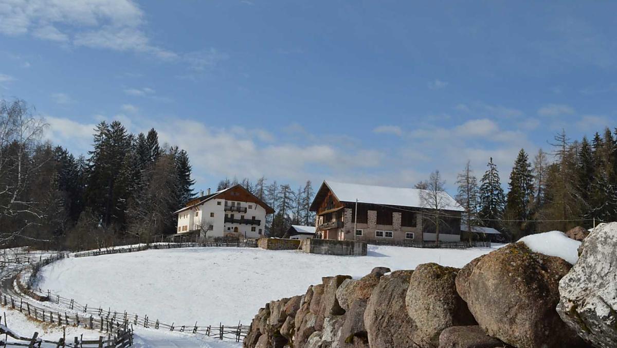 Bachnerhof - gallery Photo