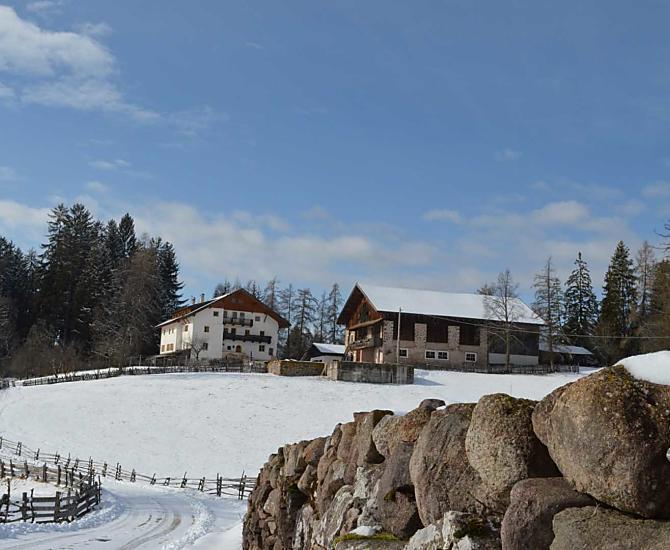 Bachnerhof - gallery Photo