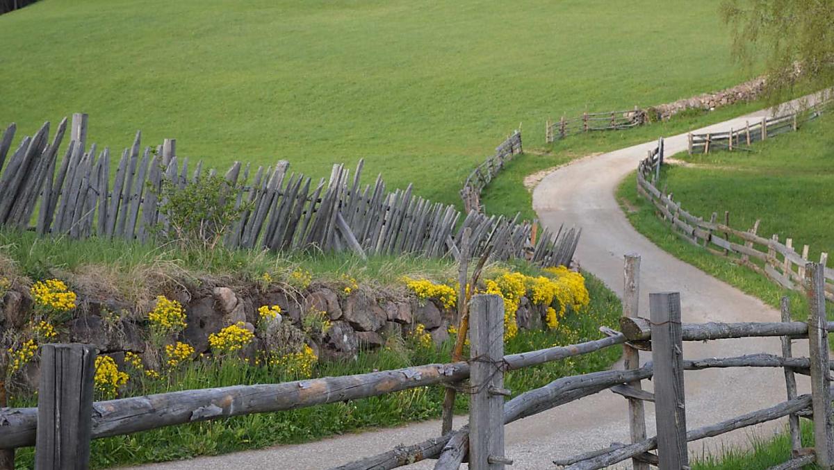 L’ingresso del maso