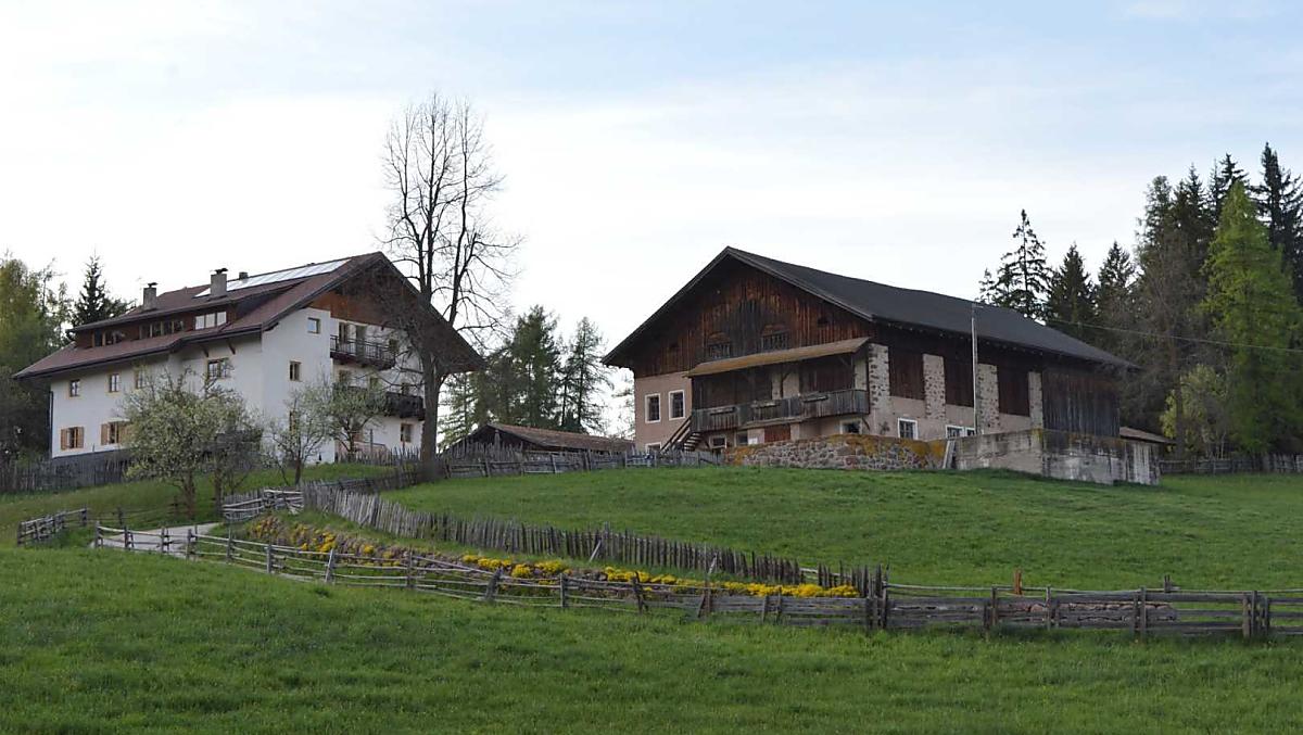 Bachnerhof - gallery Photo