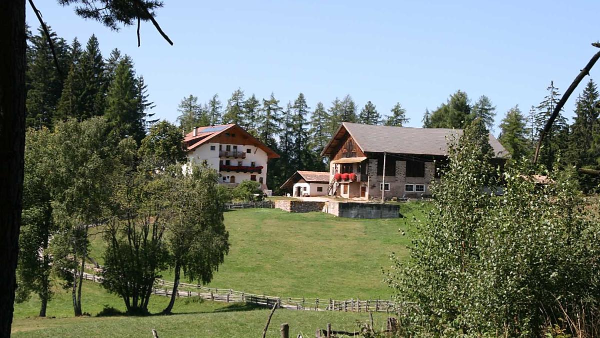Bachnerhof - gallery Photo