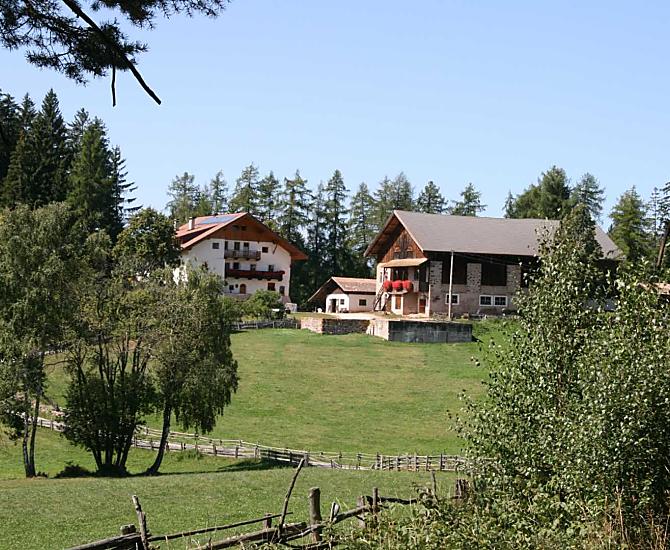Bachnerhof - gallery Photo