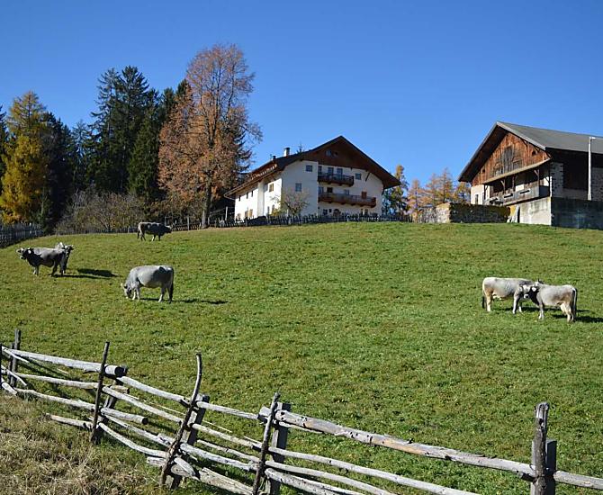 Bachnerhof - gallery Photo
