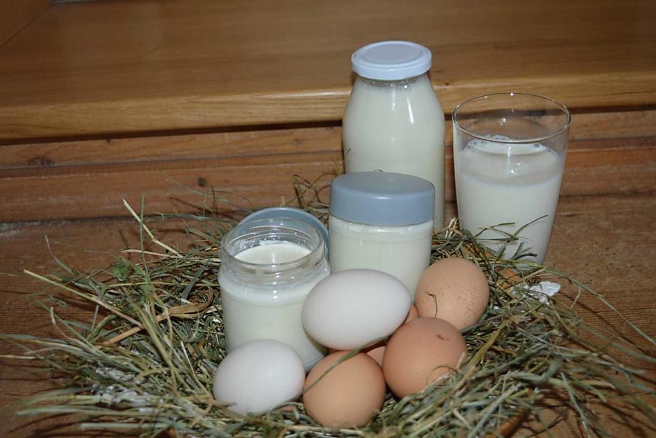 Latte, yogurt e uova