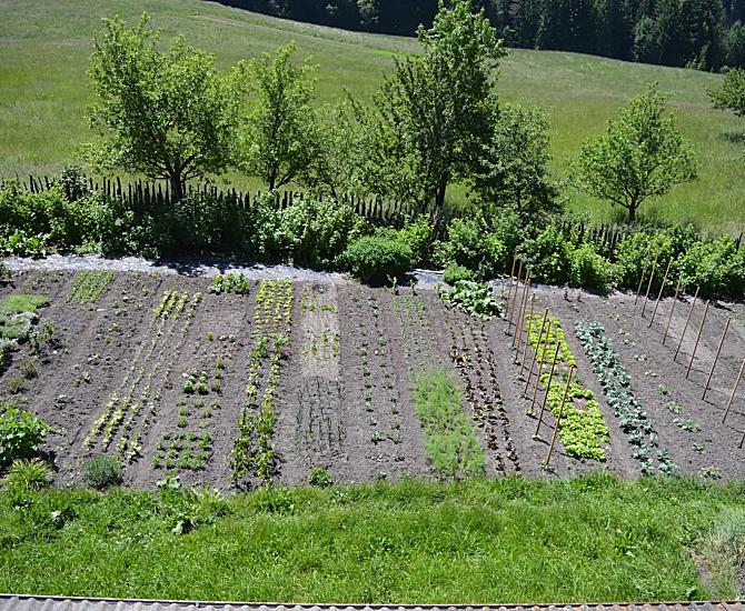 L’orto in primavera
