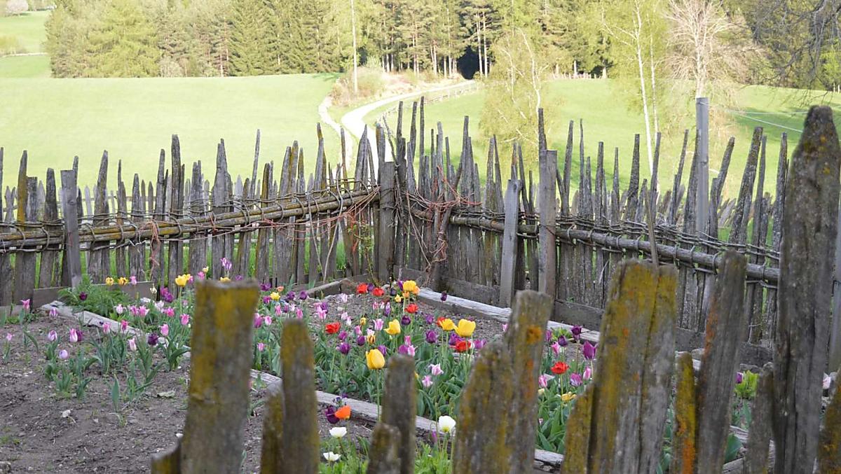 Il giardino fiorito in primavera