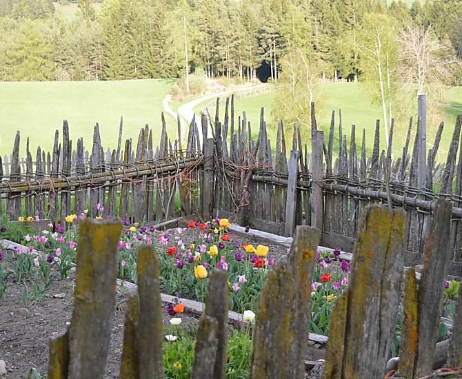 Il giardino fiorito in primavera