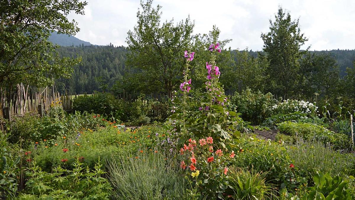 L’orto delle erbe aromatiche