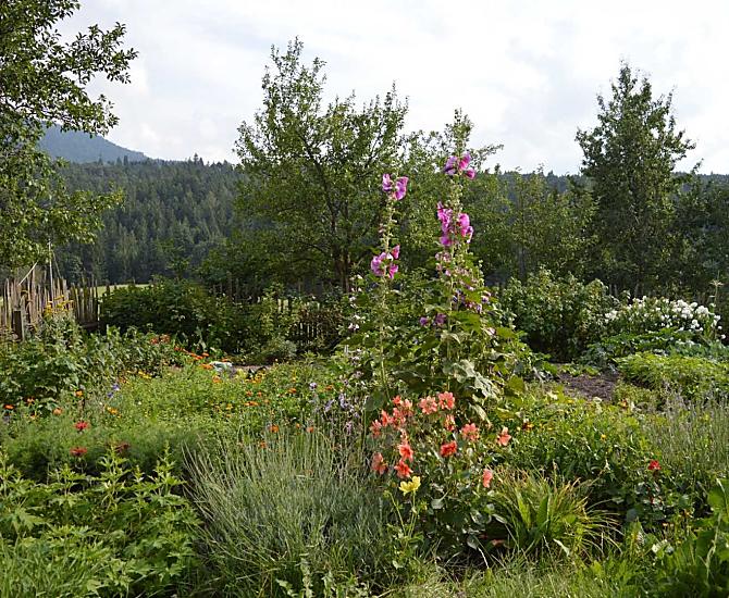 L’orto delle erbe aromatiche