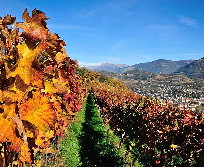 L'autunno si riflette soprattutto nelle viti.
