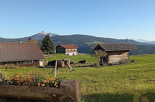 Schadnerhof - Bewertungen Photo