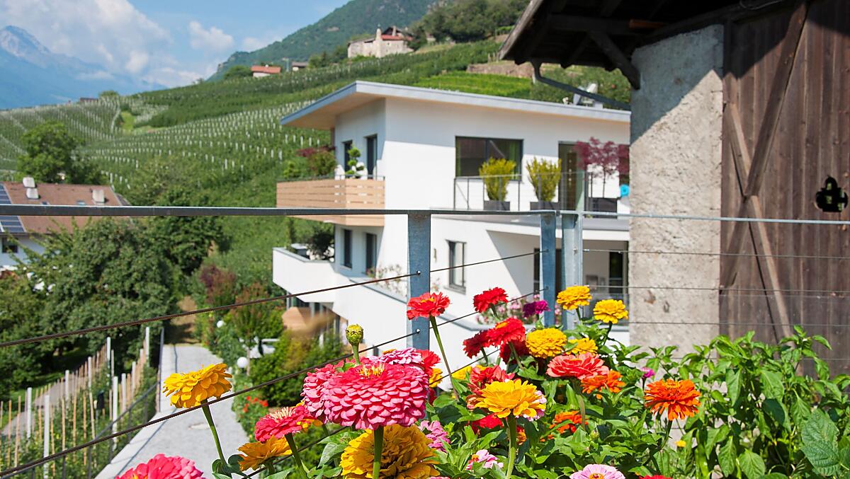Der Frühling im Weinreichhof!