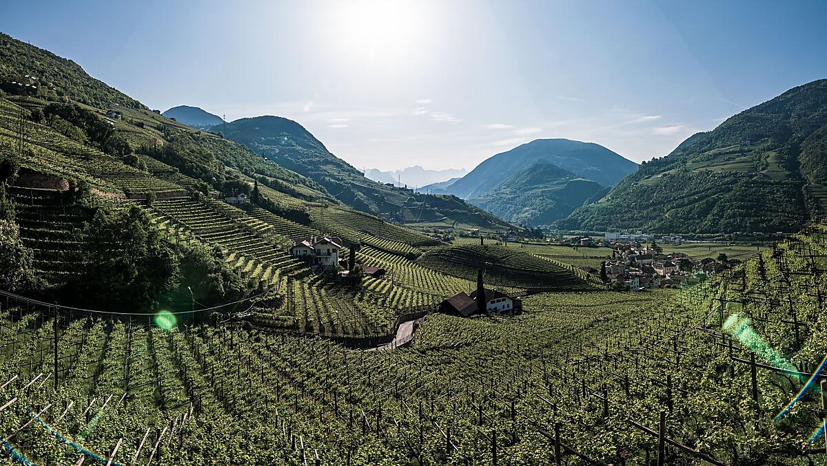 Untermoserhof - Bildergalerie Photo