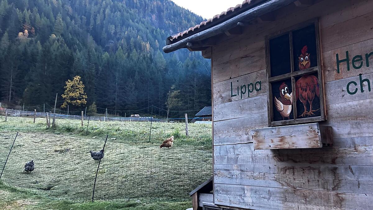 Lippenhof - Bildergalerie Photo