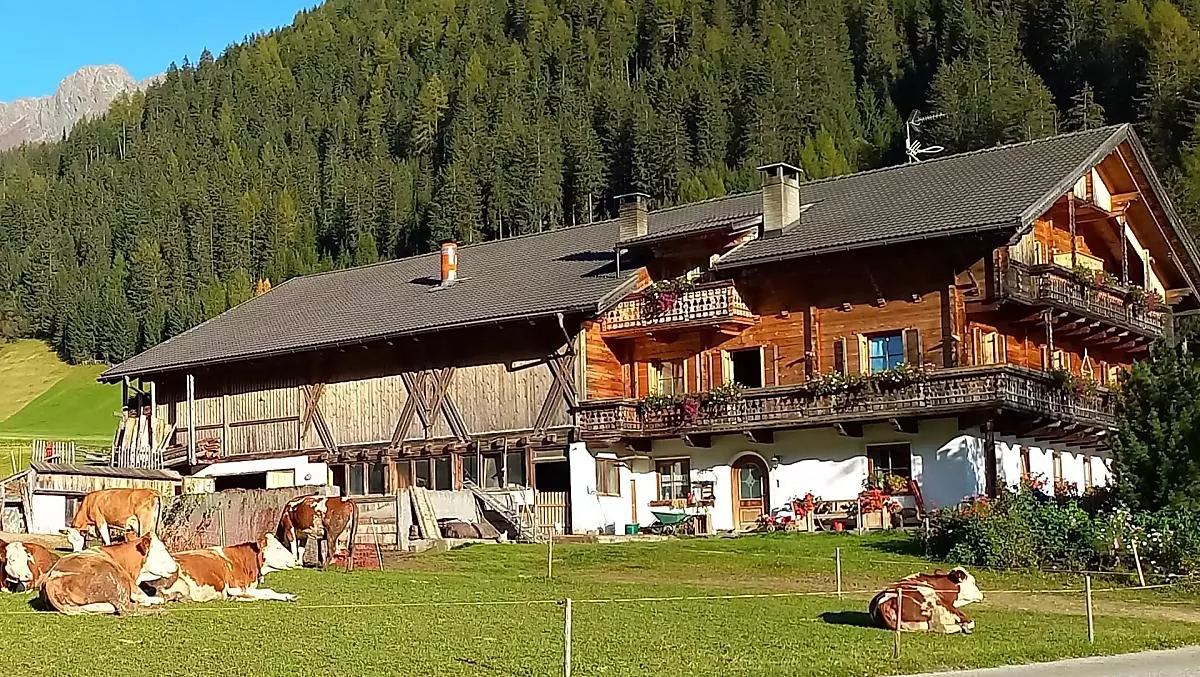 Vöstlerhof - Bildergalerie Photo