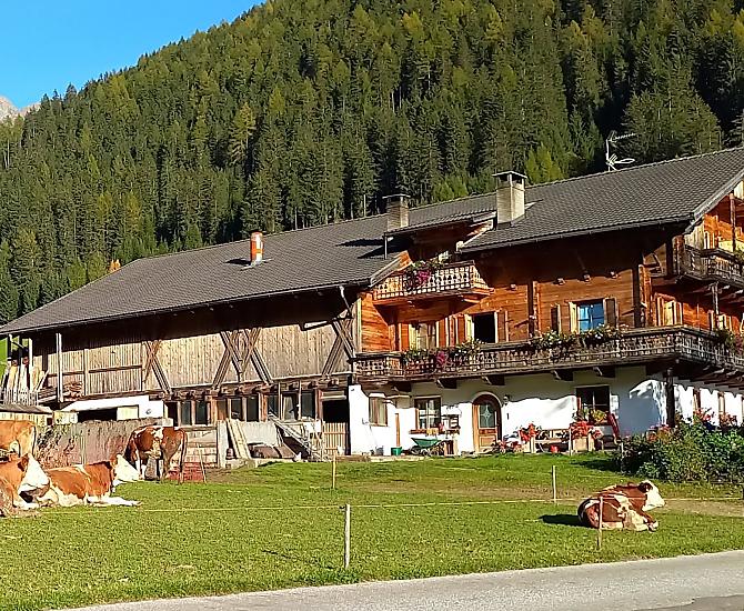 Vöstlerhof - Bildergalerie Photo