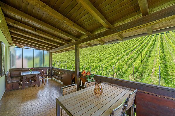 Überdachte Terrasse mit Blick in die Weinberge, nach Tramin bis zur Sarner Scharte, aufs Weisshorn im Osten und den Poolbereich.
