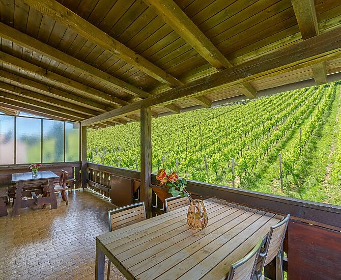 Überdachte Terrasse mit Blick in die Weinberge, nach Tramin bis zur Sarner Scharte, aufs Weisshorn im Osten und den Poolbereich.