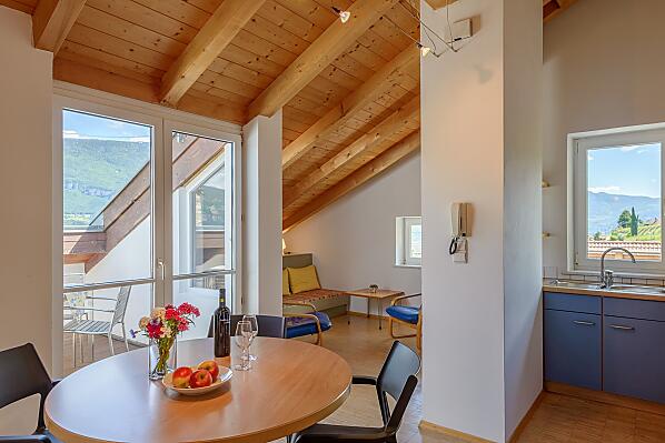 Wohnraum mit Küche mit Ausblick in den Süden und auf die Weinberge, Esstisch, Couch mit Fernseher und Dachterrasse mit Talblick